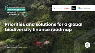 Priorities and solutions for a global biodiversity finance roadmap [upl. by Erminia]