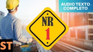 NR 1 AUDIO TEXTO COMPLETO  NR 01 Atualizada e Anexos [upl. by Demmy379]