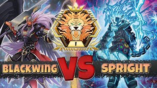 BLACKWINGS VS SPRIGHT  YuGiOh Master Duel  going second [upl. by Einneg]