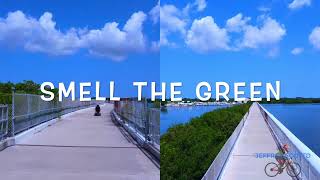 Pinellas Trail from 38th Ave  Saint Petersburg  up to Seminole  Florida  Camera DJI MIni 2 [upl. by Klehm]