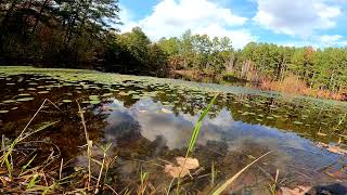 Fall In Crawfordville Georgia [upl. by Okiman]