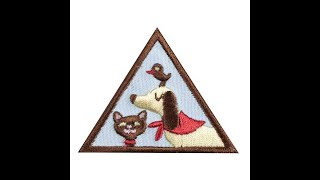 Brownie Pets Badge Step 4 [upl. by Limann175]