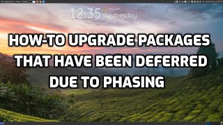 How To Upgrade Packages That Have Been Deferred Due to Phasing [upl. by Airamahs]