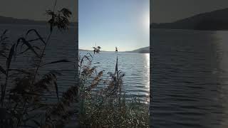 Passeggiata a Varano Borghi lago di Comabbio VA [upl. by Antoine]