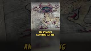 Codex Gigas codexgigas devilsbible medieval manuscripts manuscript artifacts artifact [upl. by Akineg]