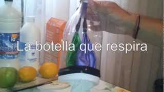 La botella que respira  Respiración pulmonar Experimentos Caseros [upl. by Siegler299]