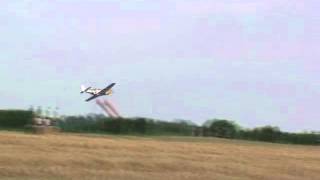 P51 Mustang Screaming Low and Fast [upl. by Curson599]