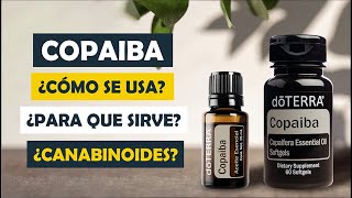 Todo lo que necesitas saber del aceite esencial de Copaiba cómo funciona y para qué sirve [upl. by Kurys748]