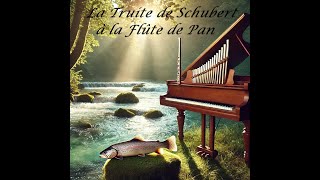 La Truite de Schubert à la Flûte de Pan [upl. by Leopoldeen876]