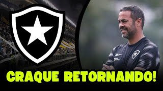 BOTAFOGO ANUNCIA RETORNO DE GRANDE REFORÇO [upl. by Gunthar384]