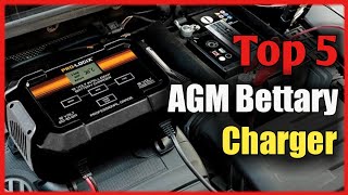 Best AGM Battery Chargers [upl. by Emelen811]