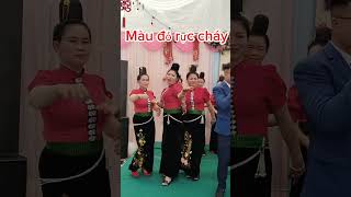 Áo đỏ rực cháy music dance disco song iguana travel funny [upl. by Innor]