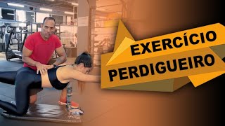 EXERCÍCIO PERDIGUEIRO  como executar corretamente [upl. by Einiffit]