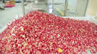 Pomegranate Peeling and Deseeding Machine [upl. by Latricia393]