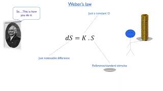 Psychology of Perception 01  Webers law amp Just noticeable difference JND [upl. by Debbie]