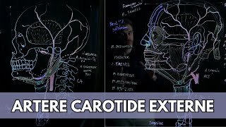 SEMIOLOGIE ALGIES CRANIOFACIALES céphalées [upl. by Ledairam]