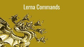 How to Use Lerna [upl. by Ria457]