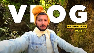 I Saw a Living Bridge  Meghalaya Vlog 2 [upl. by Namie]