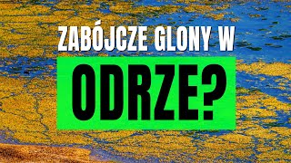 Odra  zatrucie czy zbieg okoliczności [upl. by Ventura116]