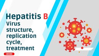 In depth explanation of Hepatitis B Virus structure replication cycle treatment [upl. by Annwahs]