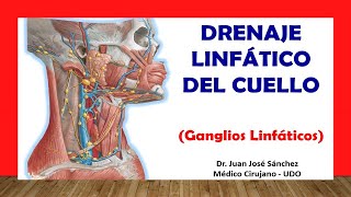 🥇 GANGLIOS LINFÁTICOS DEL CUELLO Drenaje Linfático Fácil Rápido y Sencillo [upl. by Auginahs457]