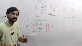 Drugs distribution pharmacokinetics lec 2 Medexplora zawaryousafzai [upl. by Horan]