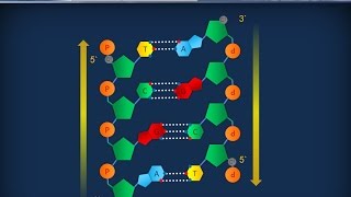 Citologia 26  DNA e cromosmi [upl. by Heer]