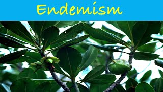 Endemism  Causes of Endemism  Endemic Species  Ecology science biology ecology csirnet [upl. by Wordoow]