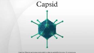 Capsid [upl. by Nahrut882]