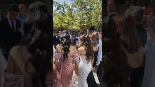 armenian wedding zurnasasna qochari [upl. by Aciretahs]