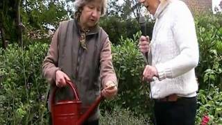 Watering Can from Haws [upl. by Carrick]