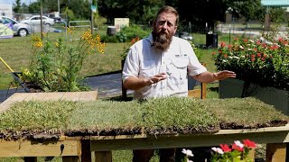 Get It Growing Choosing the right turfgrass for your lawn [upl. by Ley]