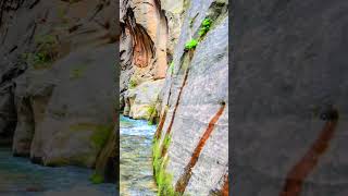 The Narrows Hike  Zion National Park [upl. by Dett]