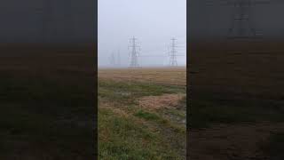 Hailstones South Alloa Airth Station Falkirk District Scotland UK [upl. by Nellie752]