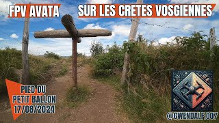 Avata sur les crêtes vosgiennes [upl. by Yretsym]