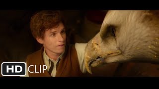 Fantastic Beasts 2 The Crimes of Grindelwald  official trailer teaser 1 2018 [upl. by Esiled]