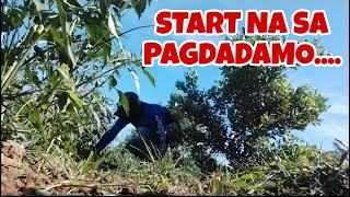 P2 START NA SA PAG DADAMO SA MGA PALIGID NG SILI [upl. by Kramlich]