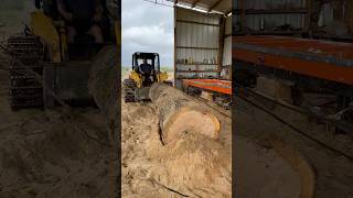 Can we get this heavy red oak log loaded up on the sawmill redoak sawmill woodmizer [upl. by Nelyk]