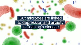 The gut microbiome is linked to depression and anxiety in Cushing’s disease [upl. by Aneela]