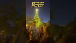 Christmas Tree Lighting 2024 Countdown [upl. by Scherle]