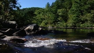 Wild SideTVThe Conasauga River [upl. by Goodhen]