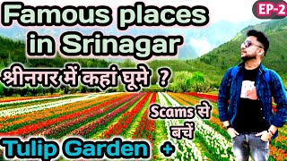 Srinagar tourist places  Places to visit in Srinagar  Tulip garden Kashmir 2023  Srinagar tourism [upl. by Cazzie]