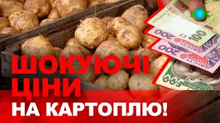 🤬ЩОЙНО стало відомо Ціни на картоплю ШОКУЮТЬ українців [upl. by Nadaba576]