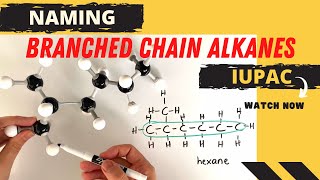 Naming organic compounds  branched chain alkanes [upl. by Rosecan]