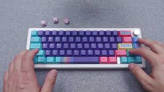 Akko V3 Creamy Purple Pro  GMK67  sound test [upl. by Aidua489]