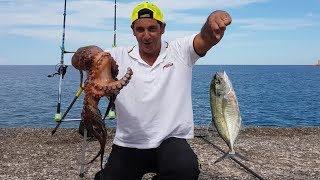 incredibile pesca a caccia di orateinvece big polpo e big carangide fishing with bobbit worm [upl. by Ydoow]