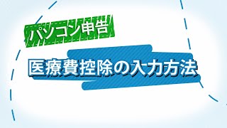 パソコン申告 医療費控除の入力方法 [upl. by Eudocia]