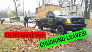 10Hp GIANT VAC CRUSHING LEAVES [upl. by Yerocaj252]