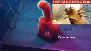 Live Slug Reaction Meme Compilation 2022 [upl. by Iand]