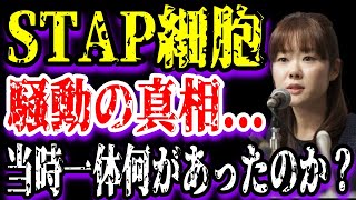 【ゆっくり解説】STAP細胞騒動の真相当時一体何があったのか？ [upl. by Amsirhc]